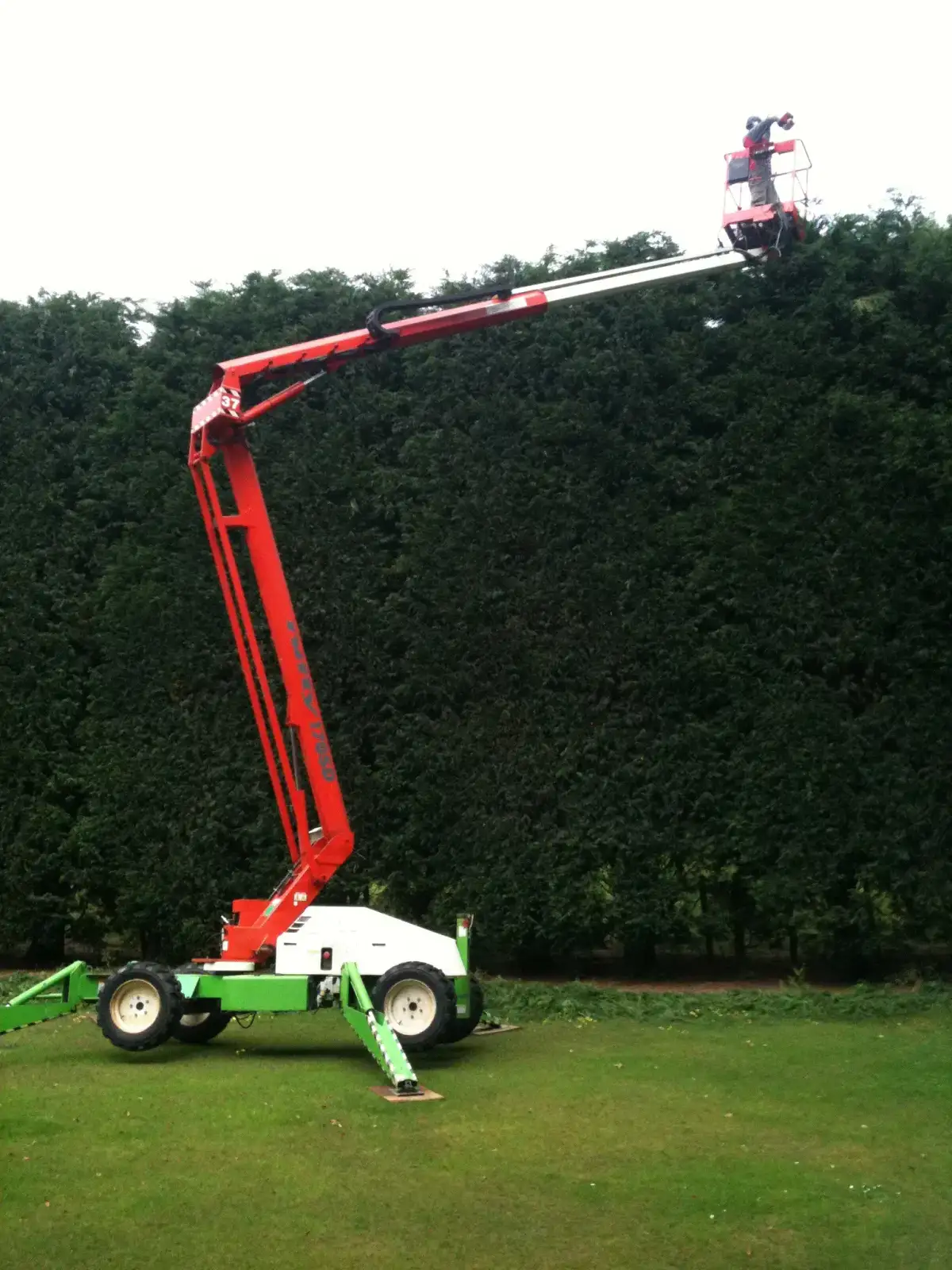 Tree work - close up