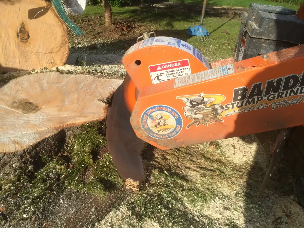 Stump grinding