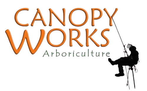 Canopy Works Arboriculture