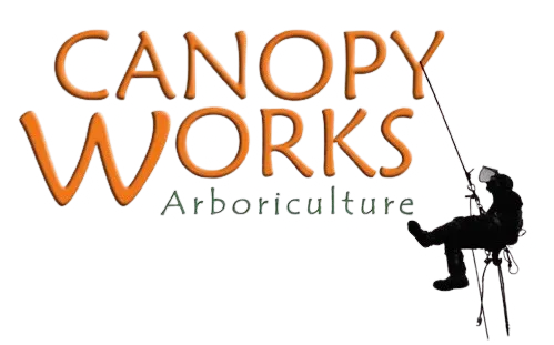 Canopy Works Arboriculture